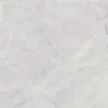 Connect Gris Керамогранит серый SG619922R 60х60 полированный