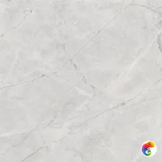 Connect Gris Керамогранит серый SG619922R 60х60 полированный