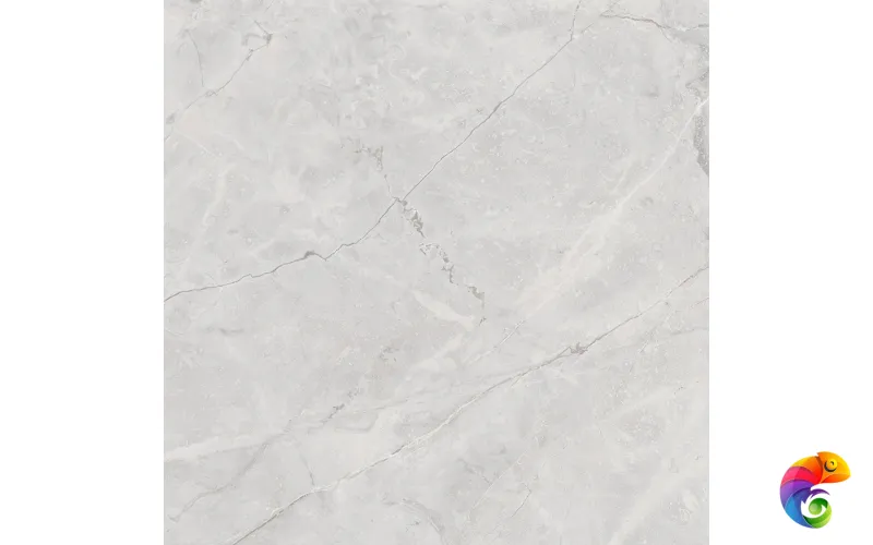 Connect Gris Керамогранит серый SG619922R 60х60 полированный