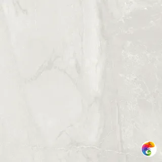 Roma Grey Керамогранит светло-серый 60x60 полированный