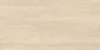 Eternity Beige Керамогранит бежевый SG50004920R 59,5х119,1 матовый