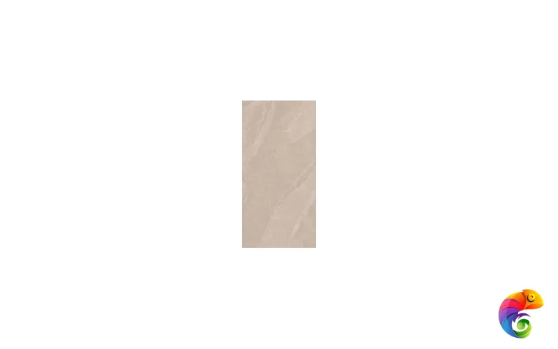 TE01 60x120x10 Непол.Рект.