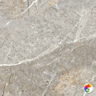 Fantastico Grey Granito Керамогранит 60х60 Матовый