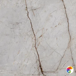 Silver Root Керамогранит 60х60 Полированный