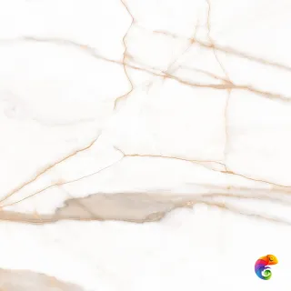 Calacatta Goddes Gold Керамогранит белый 60х60 Полированный