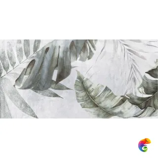 Etnis Плитка настенная светло-серый ботаника 18-00-06-3662 30х60