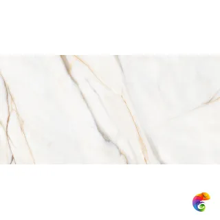 Viena Pol. Gold 60×120