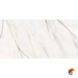 Viena Mat. Gold 60×120