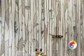 Коллекция Majestic Pure Piemme Ceramiche