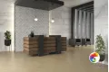 Коллекция Dorex Saloni
