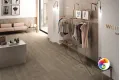 Коллекция Fresh Dom Ceramiche