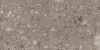 0002950 TORTORA 60X120