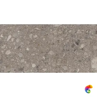 0002950 TORTORA 60X120