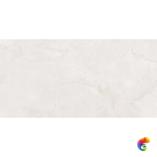 0014153 PLAIN WHITE NAT RETT. P. TECH R10 C 60X120