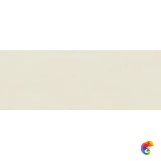 0093351 Canvas