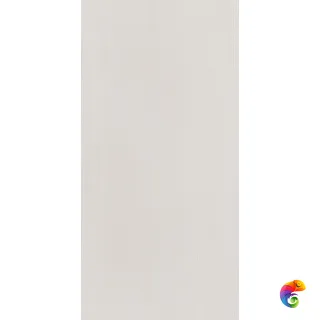 F900 SILVER Rect.