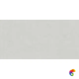 0009646 NEIGE 60X120