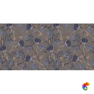 020227512 OMBRELLE 60X120