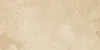 0124771 AURUM EBUR GRIP 25X50
