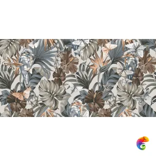 020227812 PAPILIO 60X120