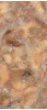 INF3427 - 4 STARLIT ALL-LIGHT POLISHED RET 120X278