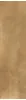 0502031 TWS METAL BRASS RT 29,8X119,2