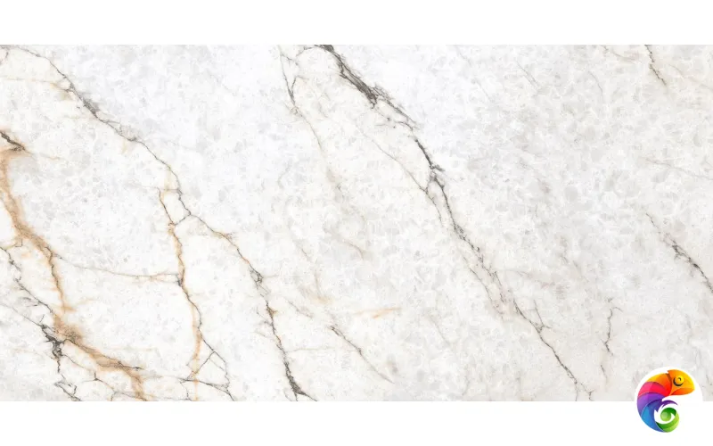 Rociado 60х120 India 60х120 Ocean Ceramic INDIA NEW