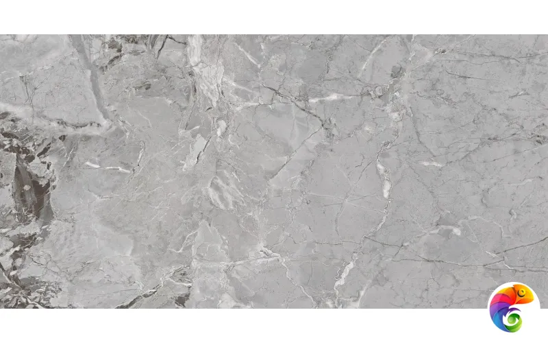 Wixon Grey 60х120 India 60х120 Ocean Ceramic INDIA NEW