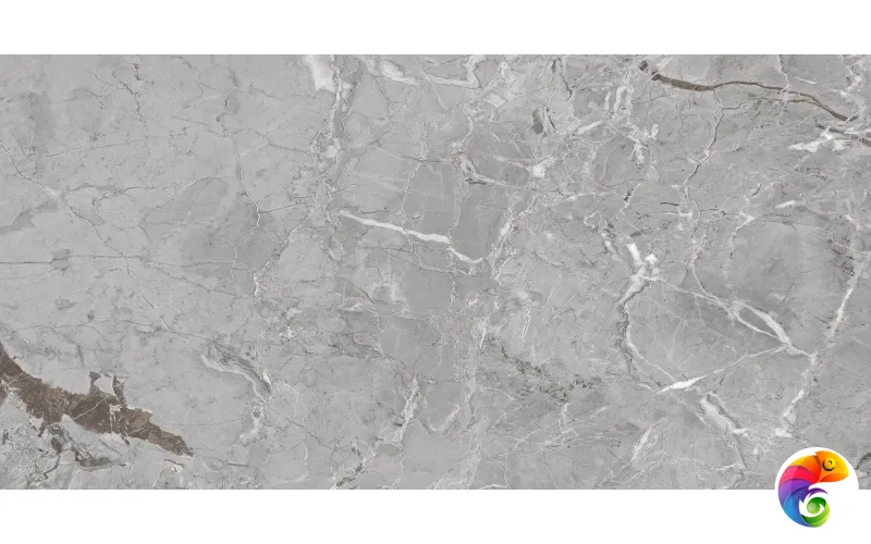 Wixon Grey 60х120 India 60х120 Ocean Ceramic INDIA NEW