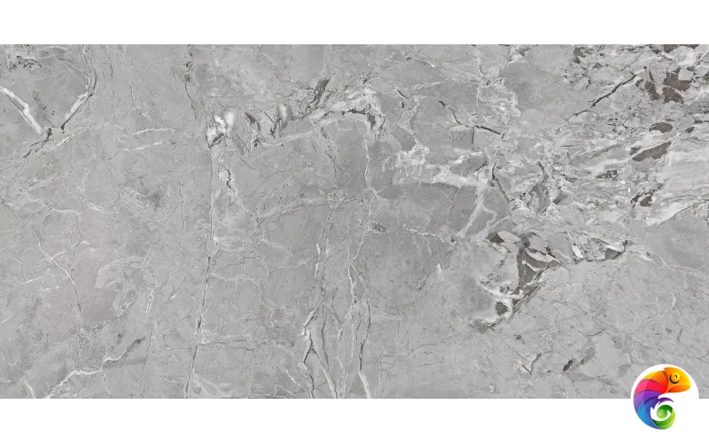 Wixon Grey 60х120 India 60х120 Ocean Ceramic INDIA NEW