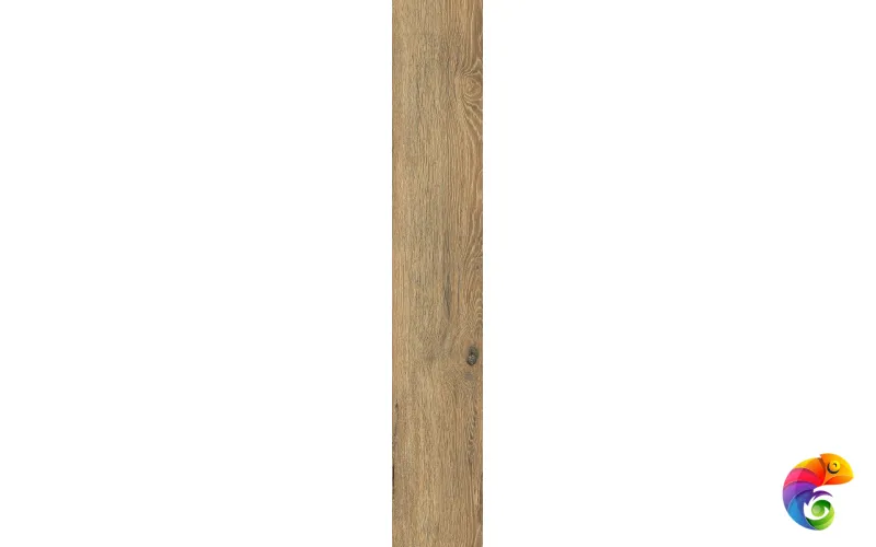 Sweden Caramel 20x120 India 20x120 Ocean Ceramic INDIA NEW