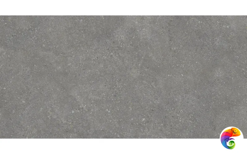 Pietra Grey 60х120 Protiles Protiles