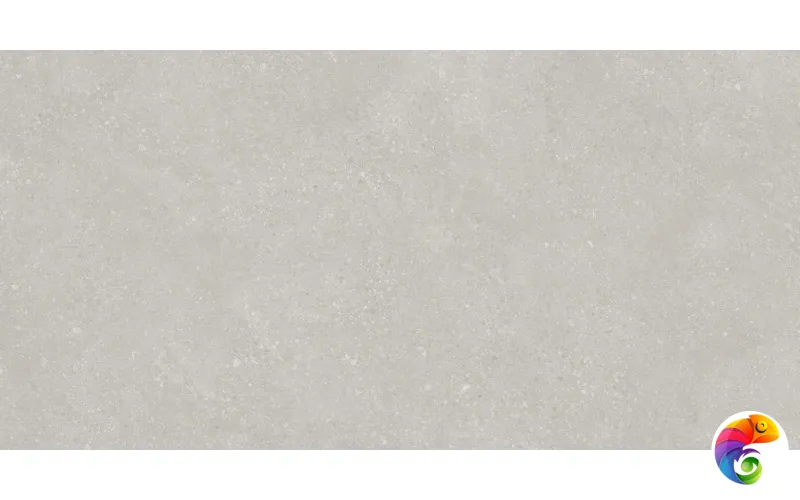 Pietra Light Grey 60х120 Protiles Protiles
