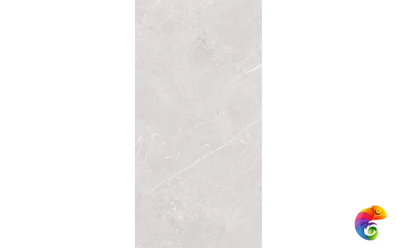 Element Amaranto Grey 80х160 India 80х160 Ocean Ceramic INDIA NEW