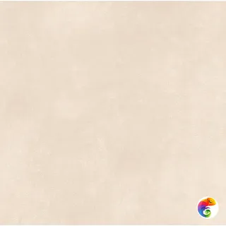 Millenium Beige 60х60, 20mm
