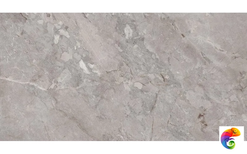 Element Castona Gris 60х120 India 60х120 Ocean Ceramic INDIA NEW