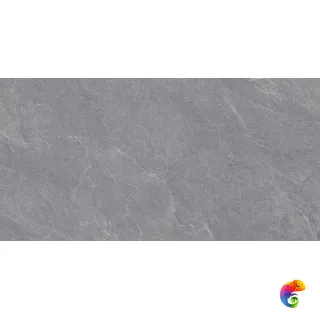 Carbonio Silver 60х120