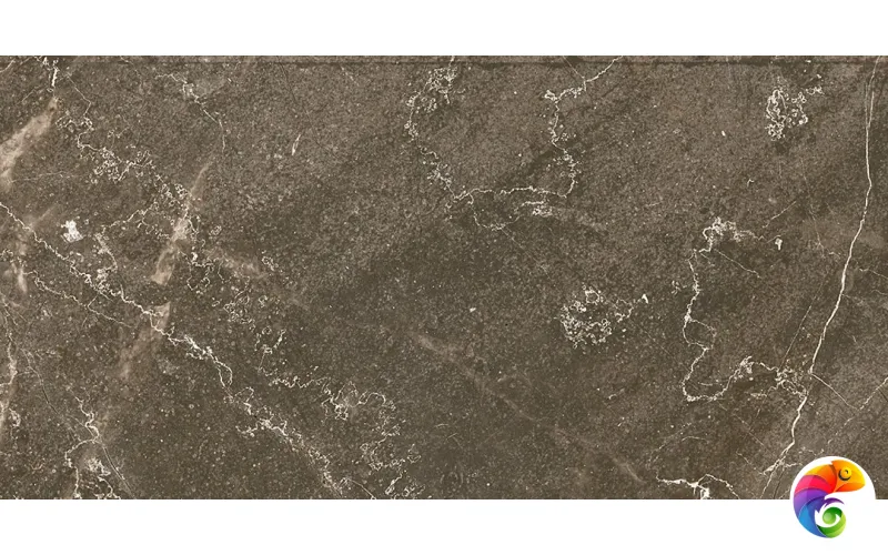 Baron Brown 60х120 IRAN 60х120 Ocean Ceramic IRAN