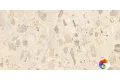 Venetian Avorio 60х120 India 60х120 Ocean Ceramic INDIA NEW