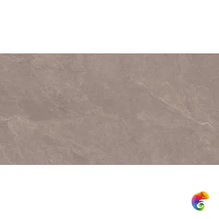 Carbonio Bisque 60х120