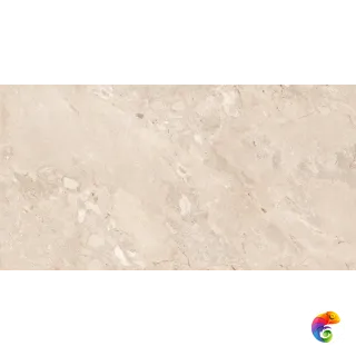 Element Castona Tan 60х120