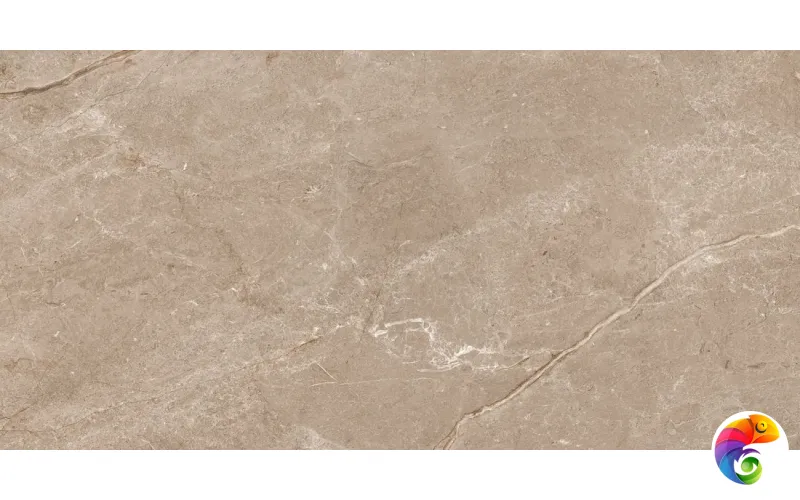 Lambert Brown 60х120 India 60х120 Ocean Ceramic INDIA NEW