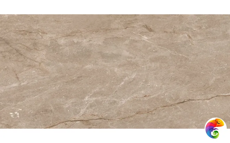 Lambert Brown 60х120 India 60х120 Ocean Ceramic INDIA NEW