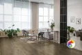 Коллекция Inedito Ragno