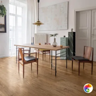 Inedito Ragno