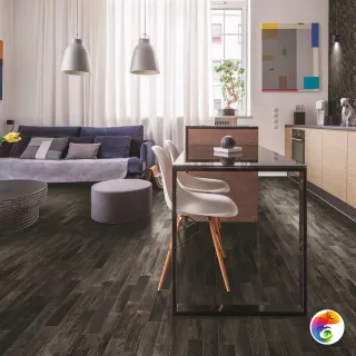 Alaska CIR