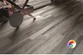 Коллекция Shine Cerdomus