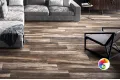 Коллекция Shine Cerdomus