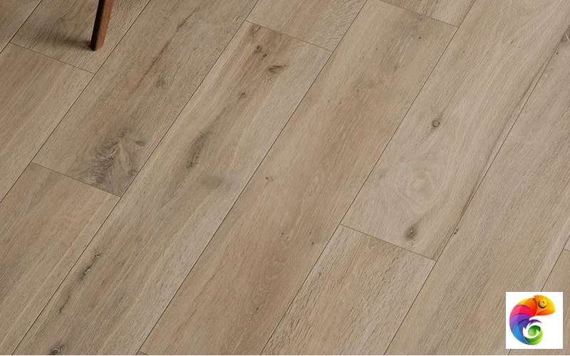Коллекция Cortina Rondine