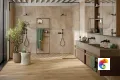 Коллекция Cortina Rondine